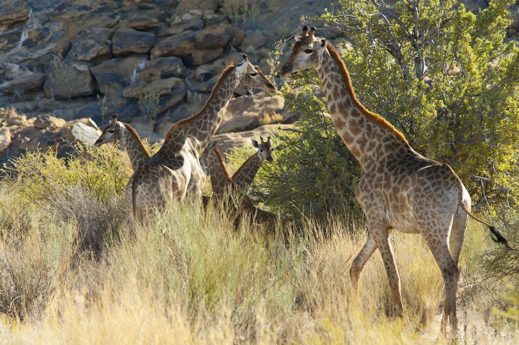 Augrabies Tutwa Desert Lodge מראה חיצוני תמונה